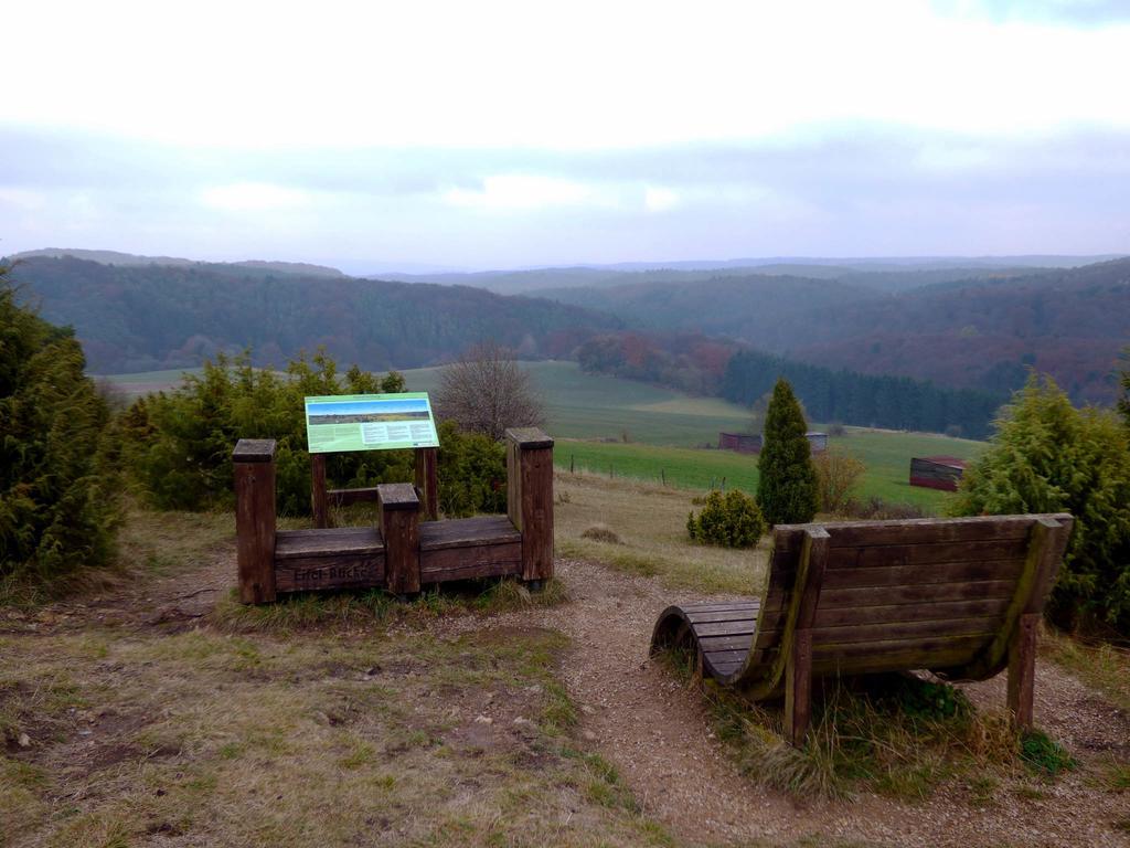 AhrhutteRelaxen Am Nationalpark Eifel别墅 外观 照片