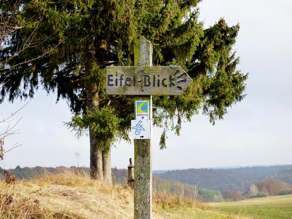 AhrhutteRelaxen Am Nationalpark Eifel别墅 外观 照片